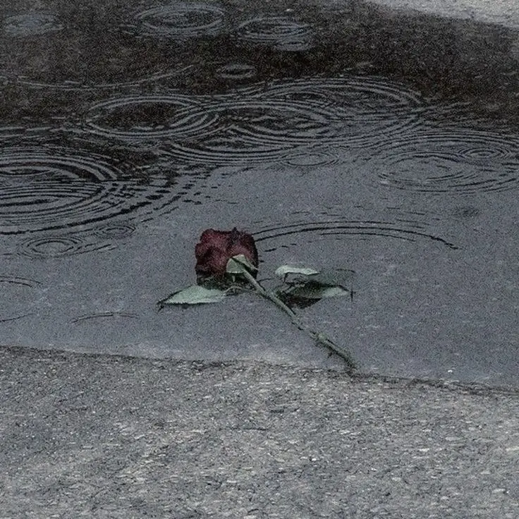 GDs_girly의 환승연애