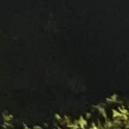 Profile image of 잠뜰