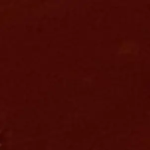 Profile image of 공룡