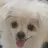 오뉴