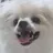 류