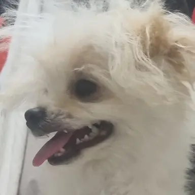 Profile image of 잭