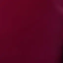 Profile image of 황현진