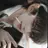 김도운