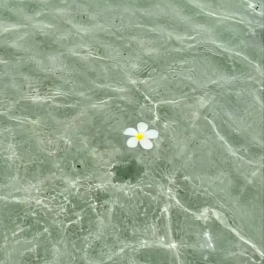 Profile image of snowman