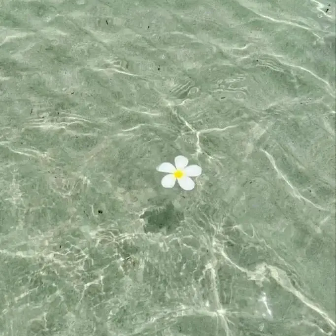 Na-na06의 叶わぬ恋