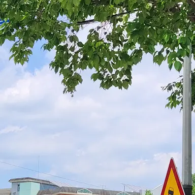 Profile image of 하이파이브