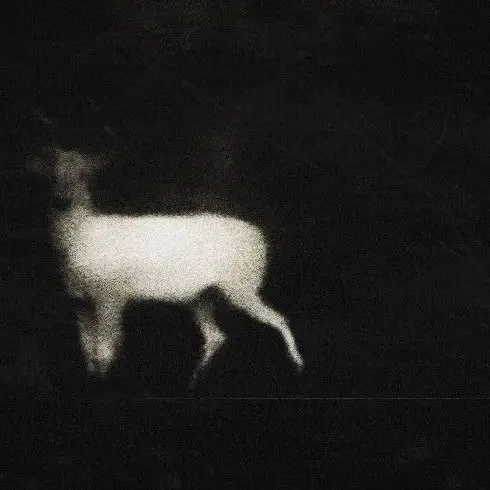 tragicjustification...is의 ­