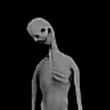 Profile image of なにか