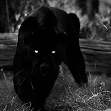 Profile image of 겐타