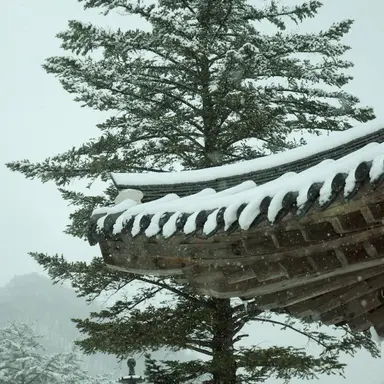 Profile image of 형준