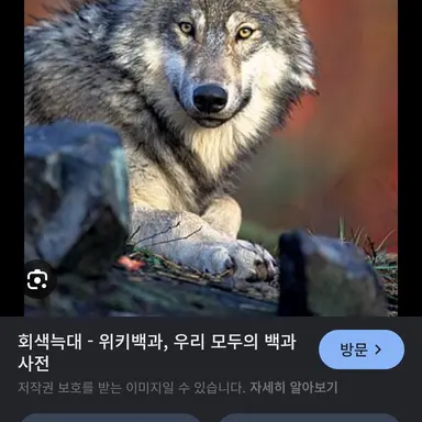 Profile image of 늑대