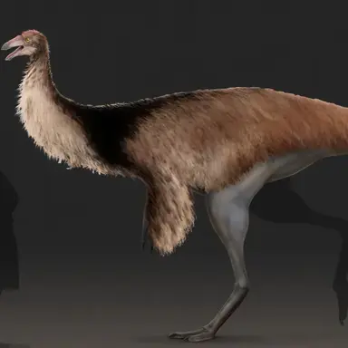 Profile image of 스트루티오미무스