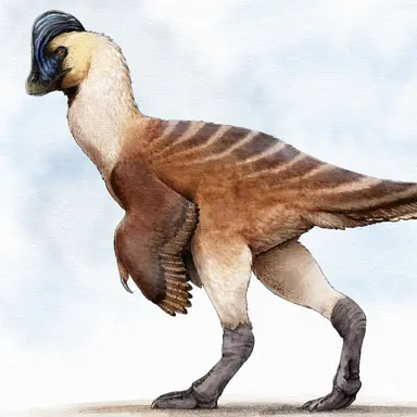 Profile image of 안주