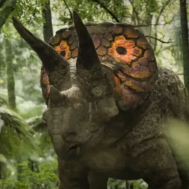 Profile image of 트리케라톱스