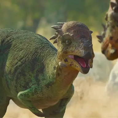 Profile image of 파키케팔로사우루스