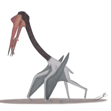 Profile image of 인페르노드라콘