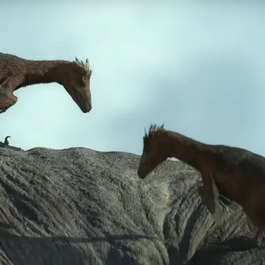 Profile image of 팩티노돈