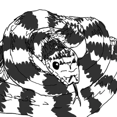 Profile image of スウ