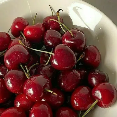 Profile image of すんちょら