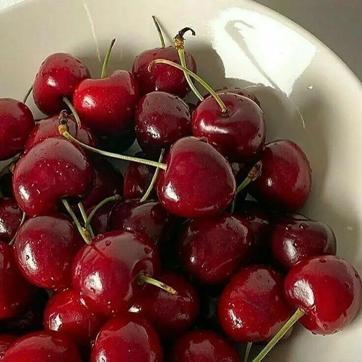 FitMeat3651의 先輩、好きです！！！