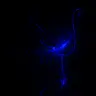 Profile image of .