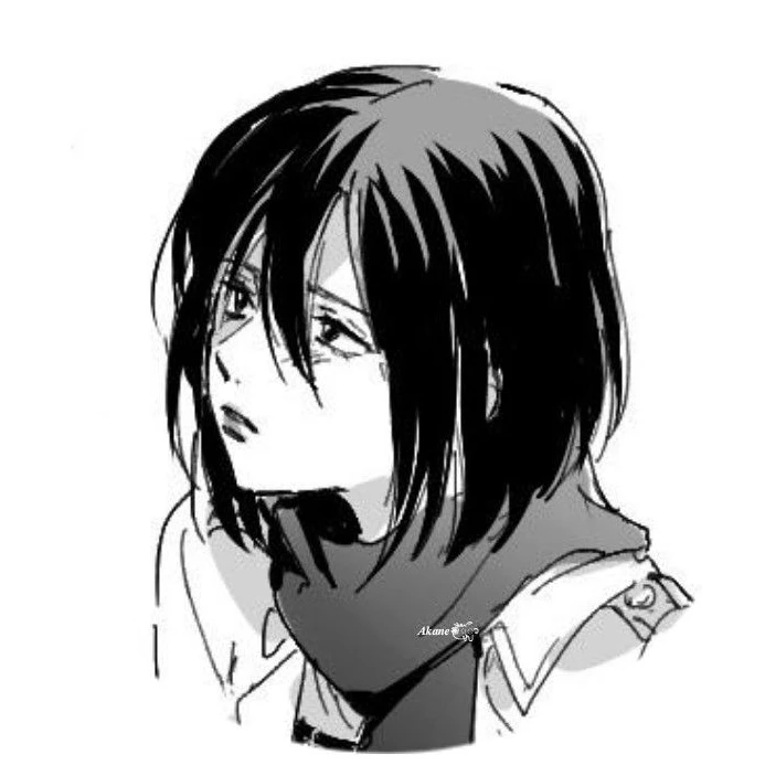 미카사
