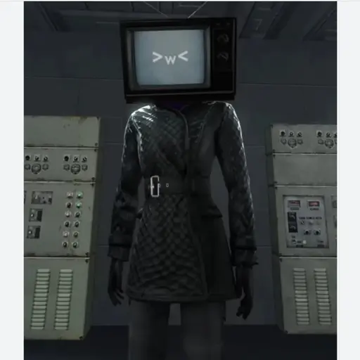 RSH의 TV우먼