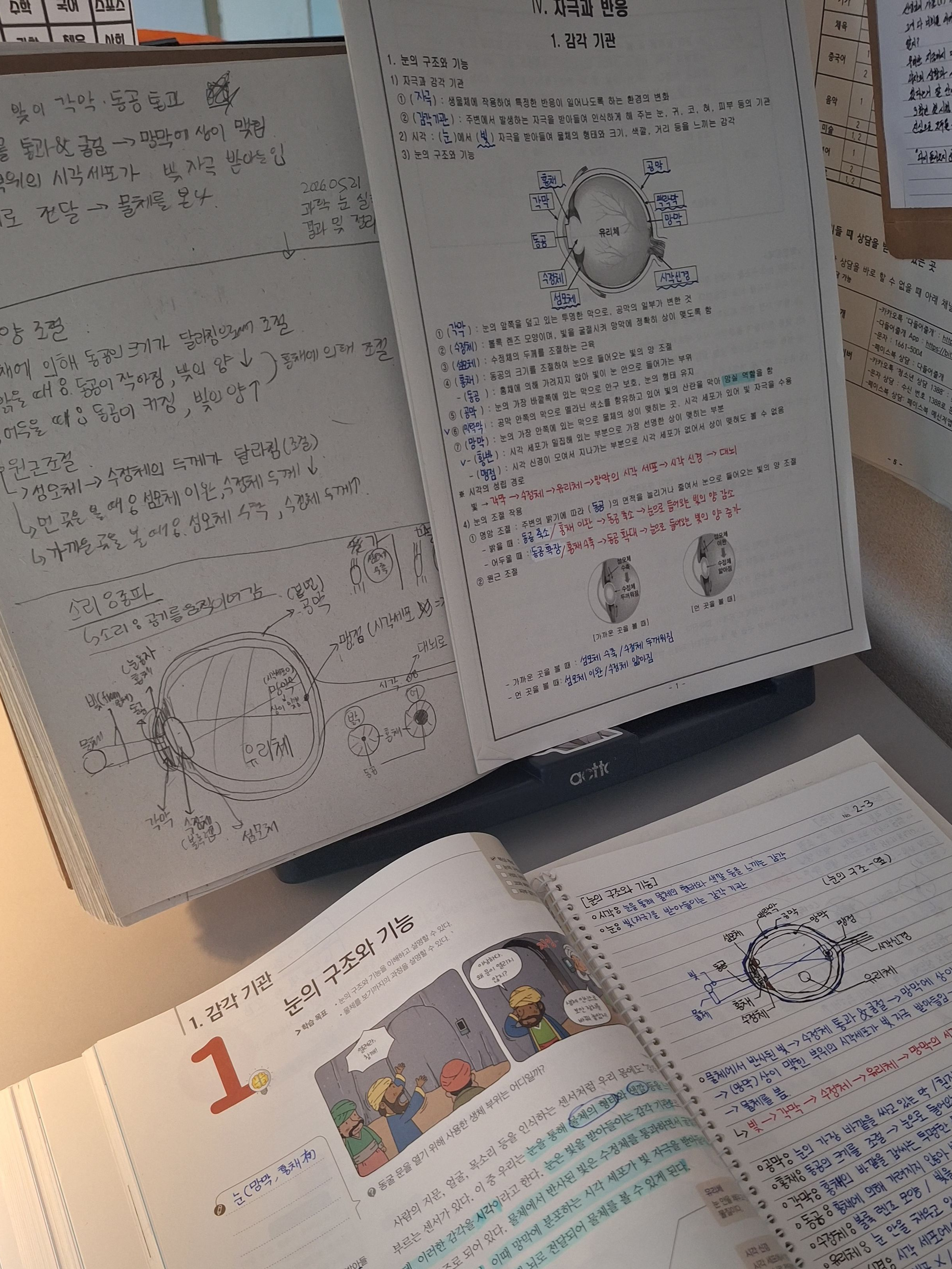 STONE HOSPITAL🏥 대표 이미지