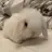 サンウォン