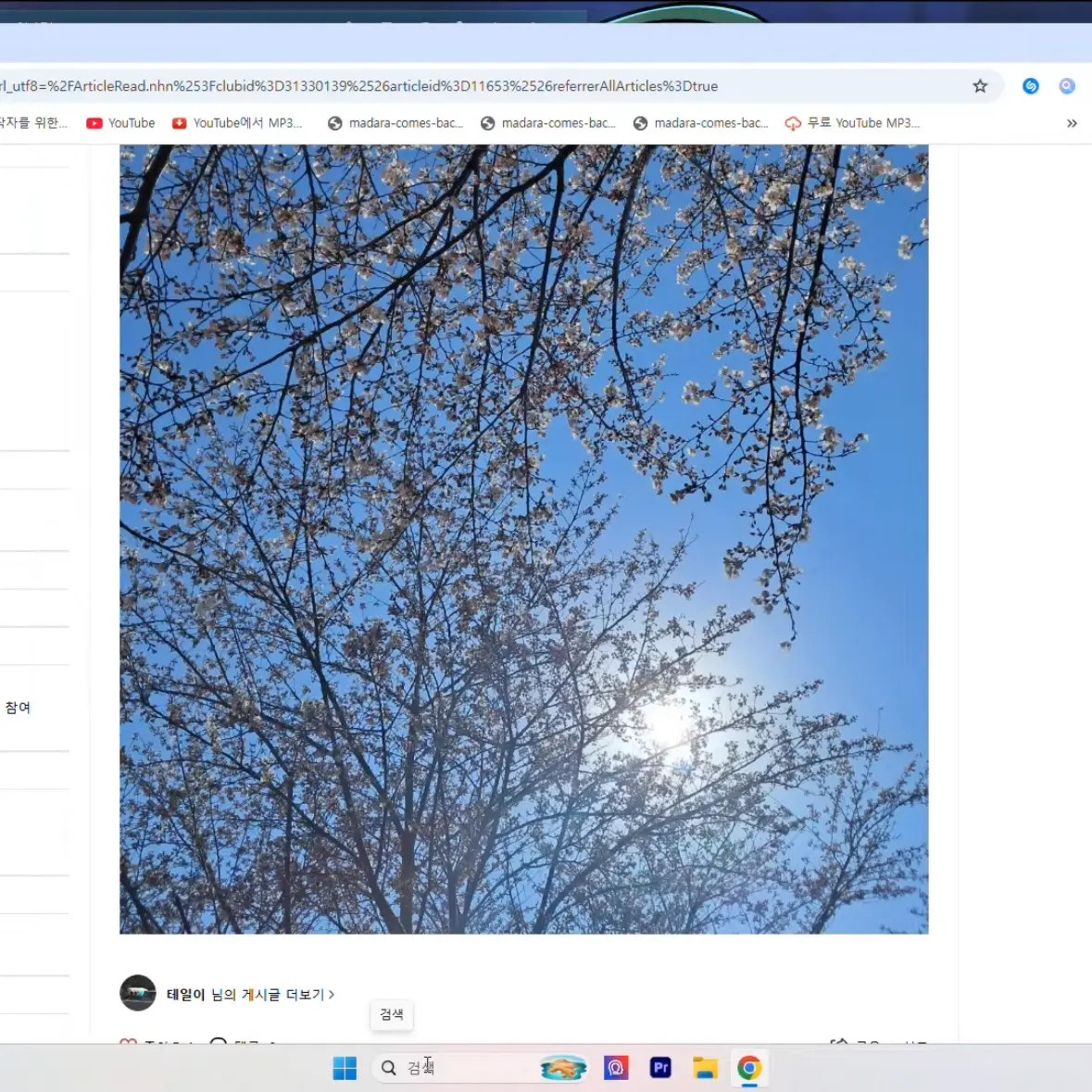 tldn0101의 늑대+여우+돼지?!!! 이게무슨?!!