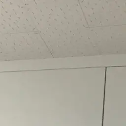 SnazzyMeat7607의 피구 최범ㄱㅠ