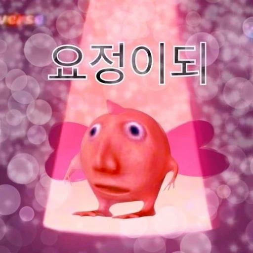 리나콩