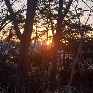 Profile image of 팀나빠-고고프렌즈