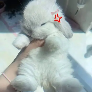 Profile image of 얌얌이