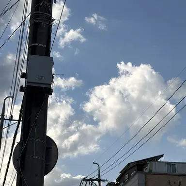 Profile image of 조유식