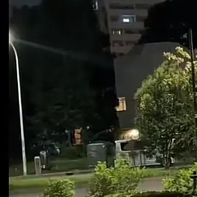 Profile image of 윤녕