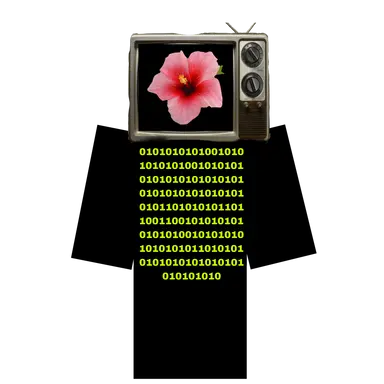 Profile image of 0101 tv