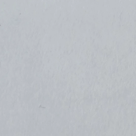 송서준