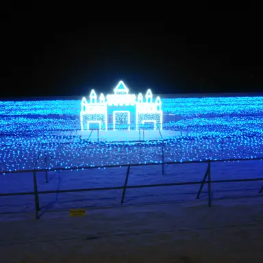 Profile image of 이머