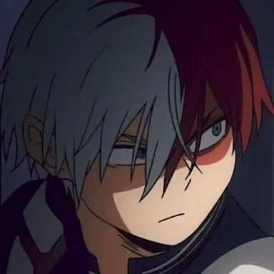 Profile image of Shoto Todoroki