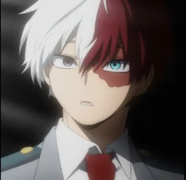 Profile image of Shoto Todoroki