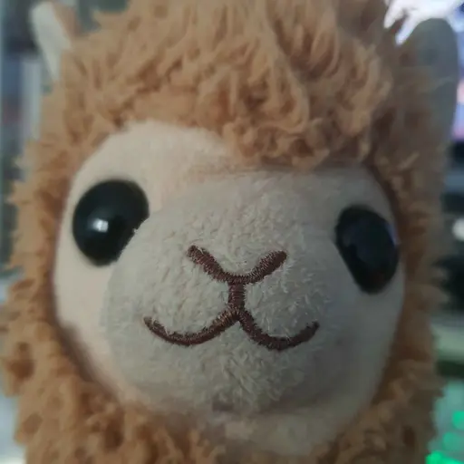 s0hx의 알파카