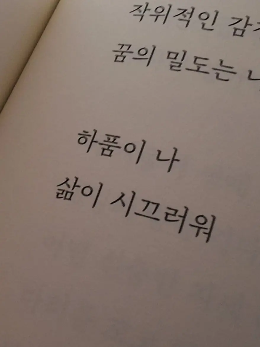 genjii의 해적님︎
