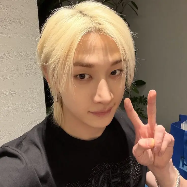levv4nter의 Bang Chan - Prom