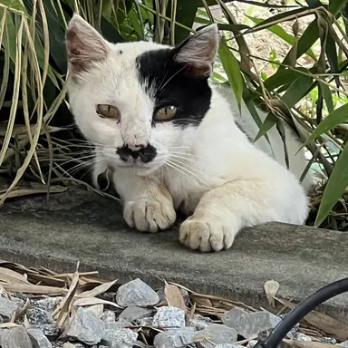 Profile image of ㅇ