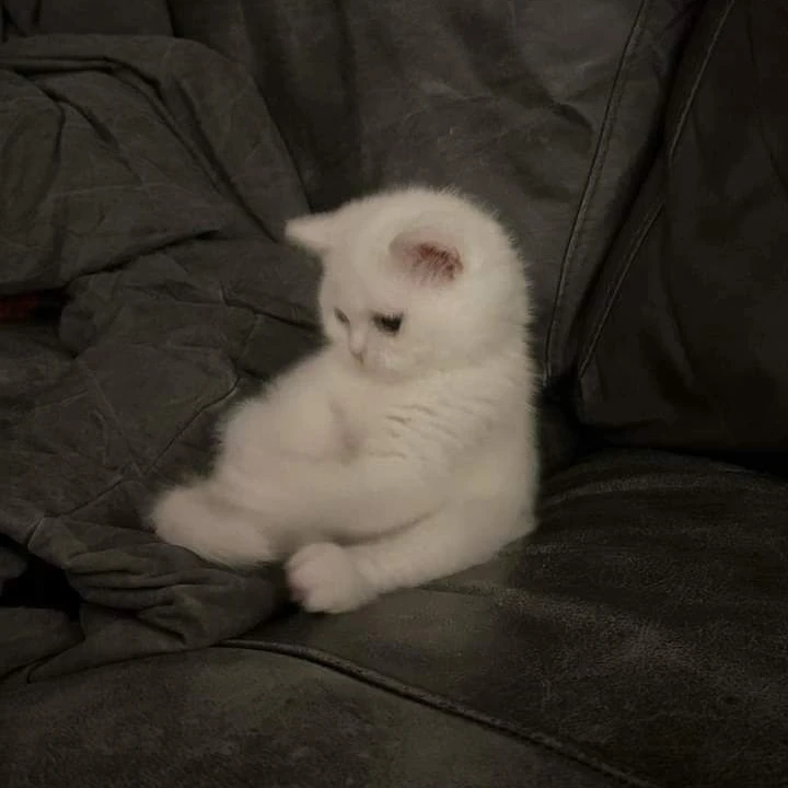 .