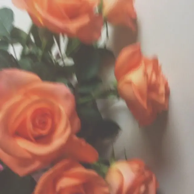.-.o의 )