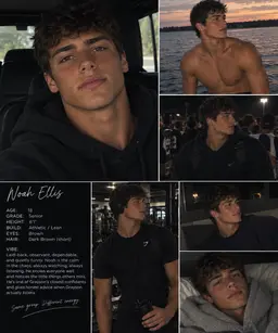 Profile image of Noah