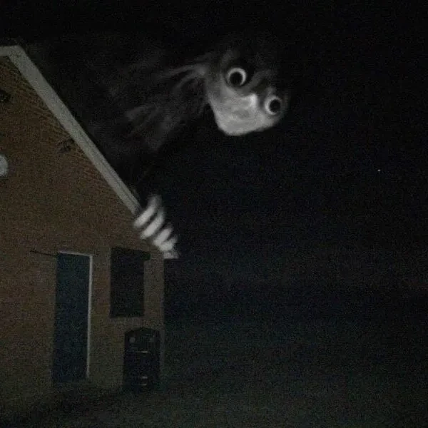 너버스하우스게스트